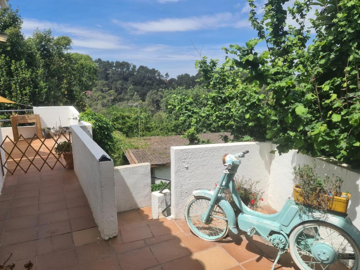 Nature Oasis Near Barcelona With Swimming Pool Parties Not Allowed Sant Cugat del Valles Bagian luar foto